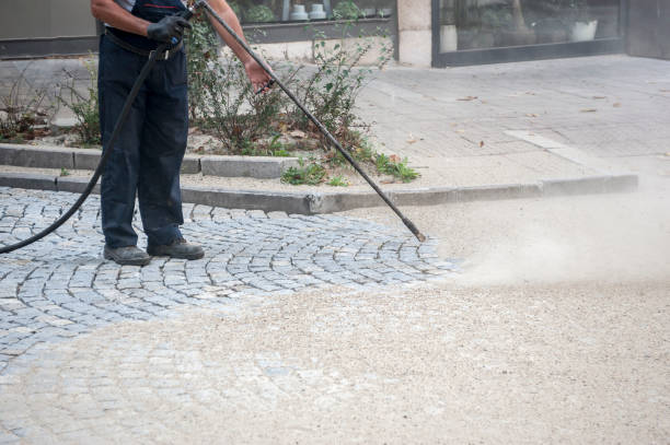 Best Roof Washing  in Pleasantdale, NJ